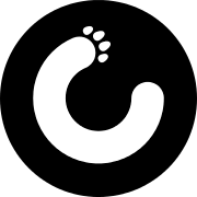 Gemini app icon